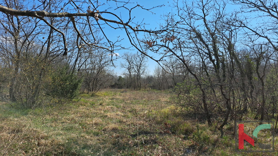 ISTRA&comma; MAR&Ccaron;ANA&comma; TERRENO AGRICOLO &num;VENDITA