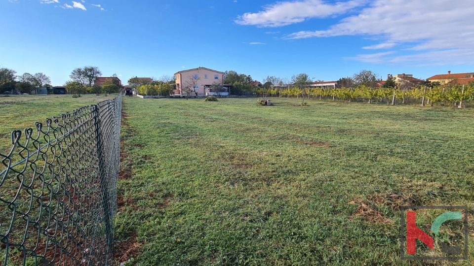 ISTRA&comma; FA&Zcaron;ANA&comma; GRA&Dstrok;EVINSKO ZEMLJI&Scaron;TE 524M2 &num;PRODAJA