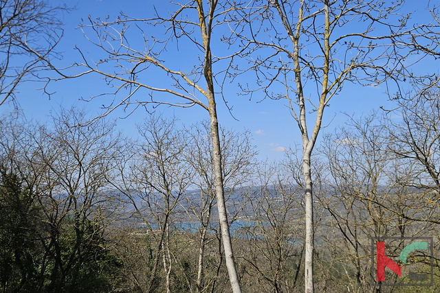 Hiša, 11526 m2, Prodaja, Pazin - Zarečje