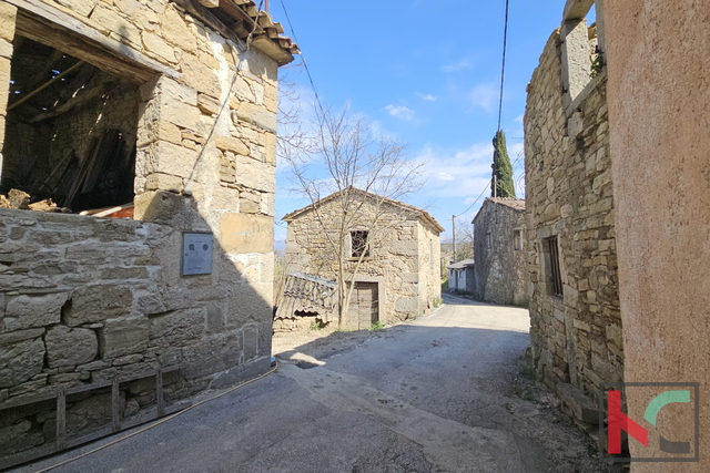 Hiša, 11526 m2, Prodaja, Pazin - Zarečje