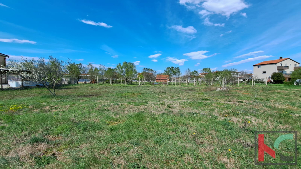 ISTRA&comma; FA&Zcaron;ANA&comma; GRA&Dstrok;EVINSKO ZEMLJI&Scaron;TE 524M2 &num;PRODAJA