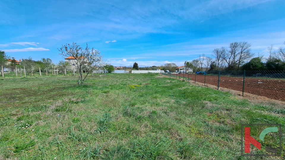 ISTRA&comma; FA&Zcaron;ANA&comma; GRA&Dstrok;EVINSKO ZEMLJI&Scaron;TE 524M2 &num;PRODAJA