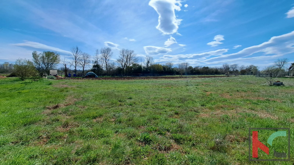 ISTRA&comma; FA&Zcaron;ANA&comma; GRA&Dstrok;EVINSKO ZEMLJI&Scaron;TE 524M2 &num;PRODAJA