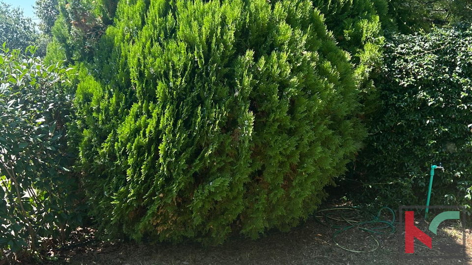 Rovinj&comma;stanovanje 1s&plus;db 37&comma;30 m2 &num;prodaja