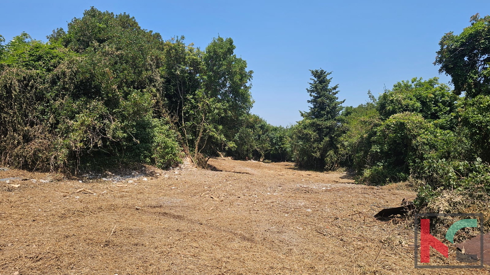 Zemlji&scaron;&ccaron;e&comma; 1420 m2&comma; Prodaja&comma; Mutvoran