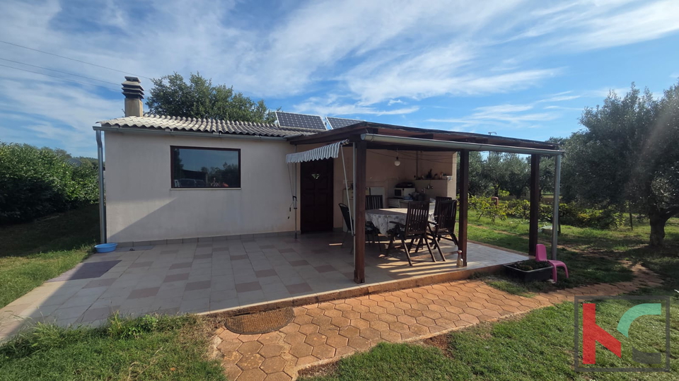 KUĆA NA IMANJU S MASLINIKOM, 9000m2, #PRODAJA