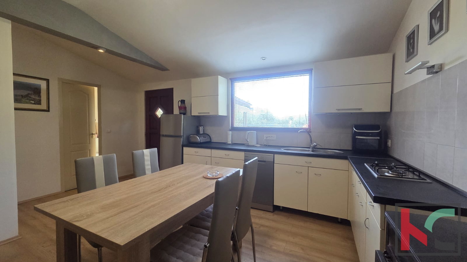 KUĆA NA IMANJU S MASLINIKOM, 9000m2, #PRODAJA