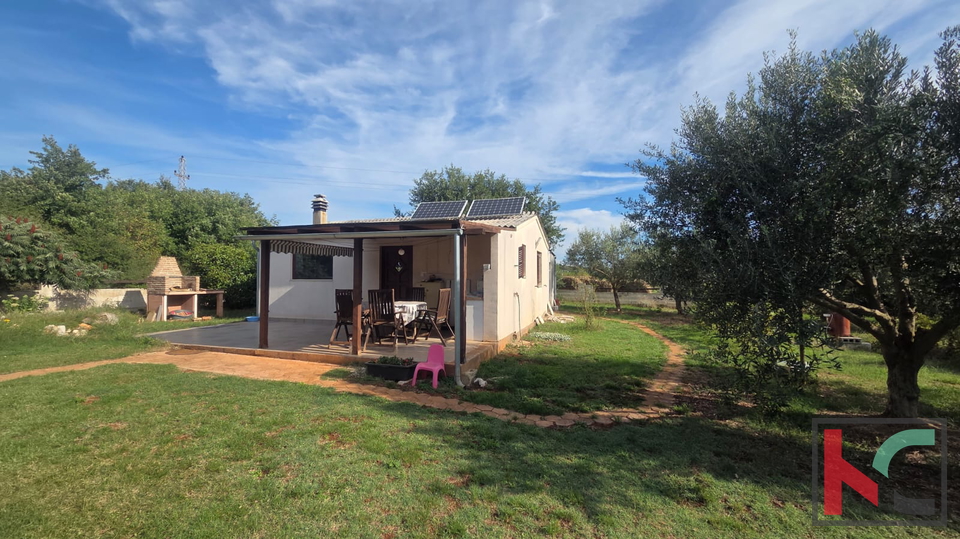 KUĆA NA IMANJU S MASLINIKOM, 9000m2, #PRODAJA