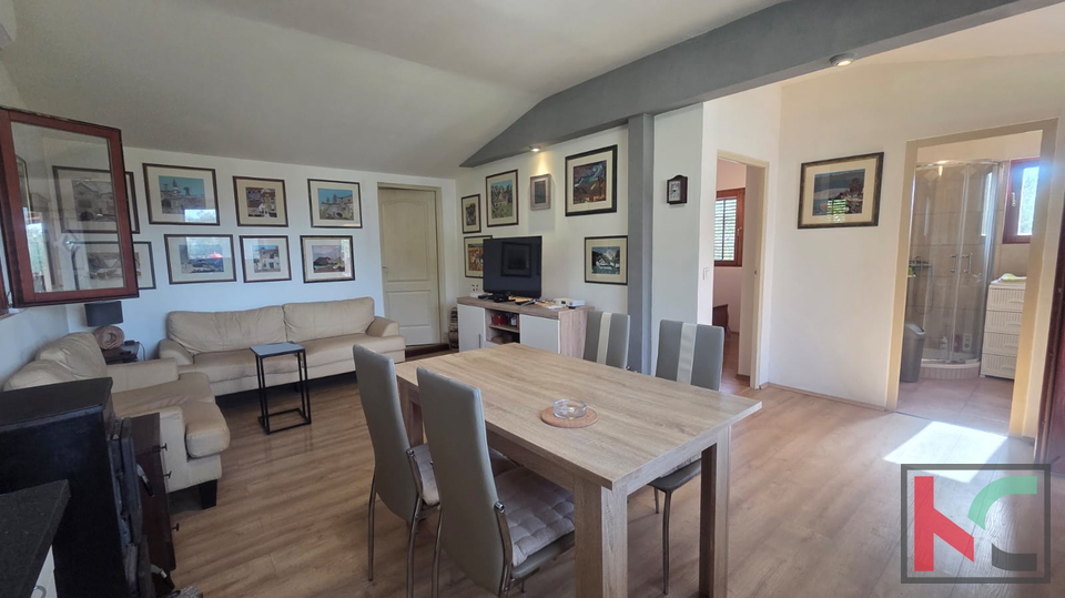 KUĆA NA IMANJU S MASLINIKOM, 9000m2, #PRODAJA