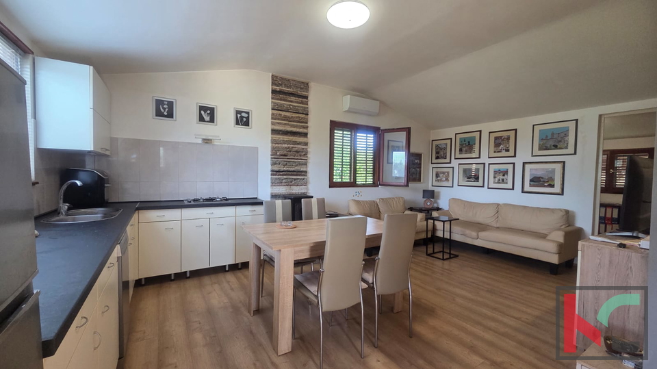 KUĆA NA IMANJU S MASLINIKOM, 9000m2, #PRODAJA