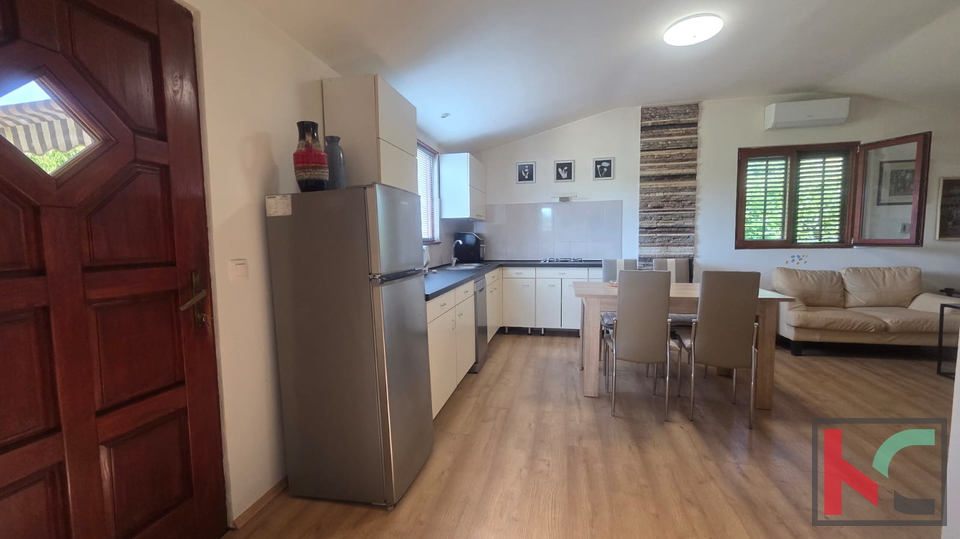 KUĆA NA IMANJU S MASLINIKOM, 9000m2, #PRODAJA