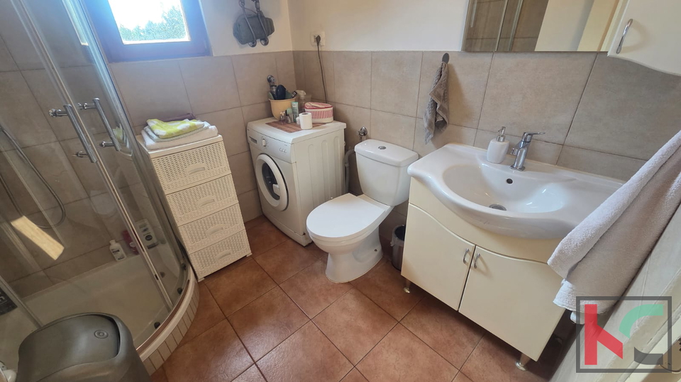 KUĆA NA IMANJU S MASLINIKOM, 9000m2, #PRODAJA