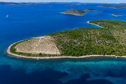 Ackerland zum Verkauf auf der Insel Žižnje, Dalmatien, Kroatien