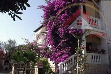 Haus mit 4 Wohnungen zum Verkauf in Sv. Filip i Jakov, ganz in der Nähe des Meeres und des Zentrums, Zadar, Dalmatien, Kroatien