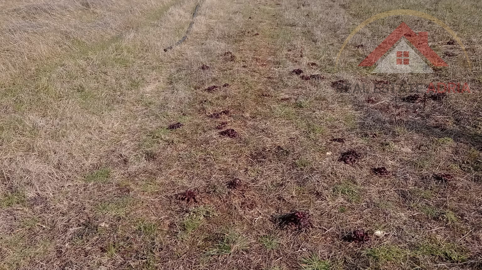 Prodaje se poljoprivredno zemljište Sikovo, Turanj, Zadrska županija