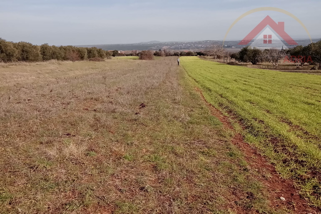 Prodaje se poljoprivredno zemljište Sikovo, Turanj, Zadrska županija