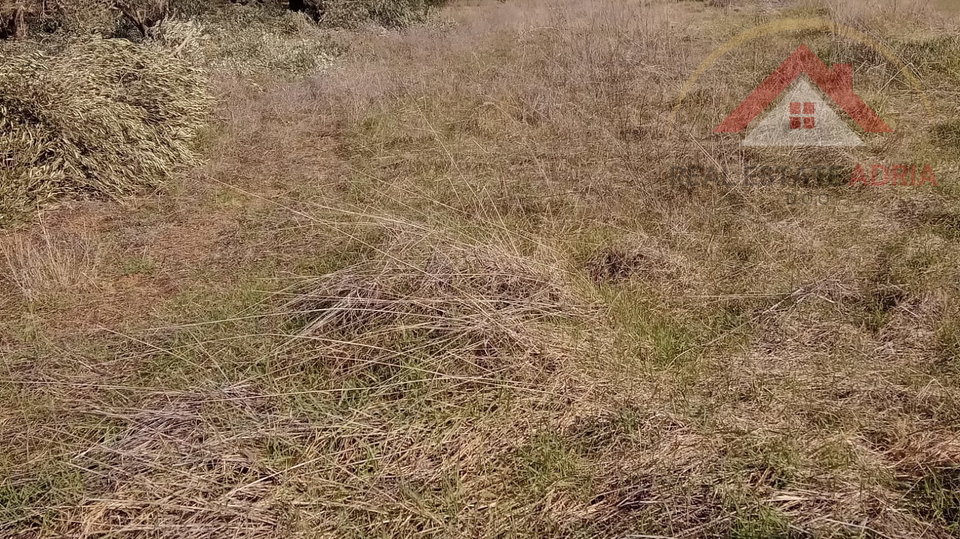 Prodaje se poljoprivredno zemljište Sikovo, Turanj, Zadrska županija