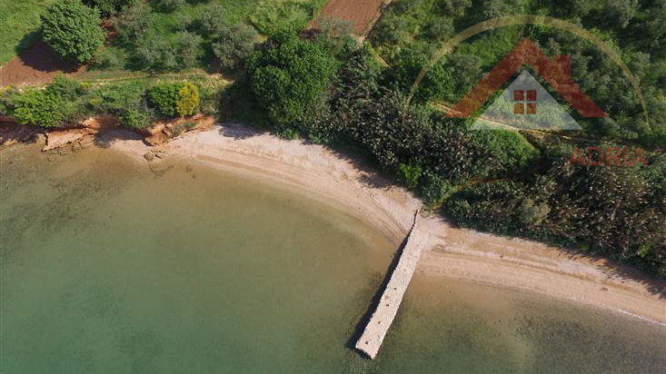 Prodaje se poljoprivredno zemljište - maslinik 50m do mora Biograd na Moru, Hrvatska