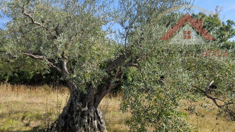 PRODAJE SE  atraktivno građevinsko zemljište u Benkovcu, Zadarska županija