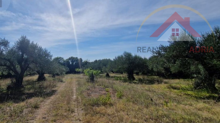 For sale 8 plots of building land in Benkovac with a total area of 3837 m2, Zadar County, Croatia