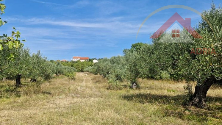 For sale 8 plots of building land in Benkovac with a total area of 3837 m2, Zadar County, Croatia