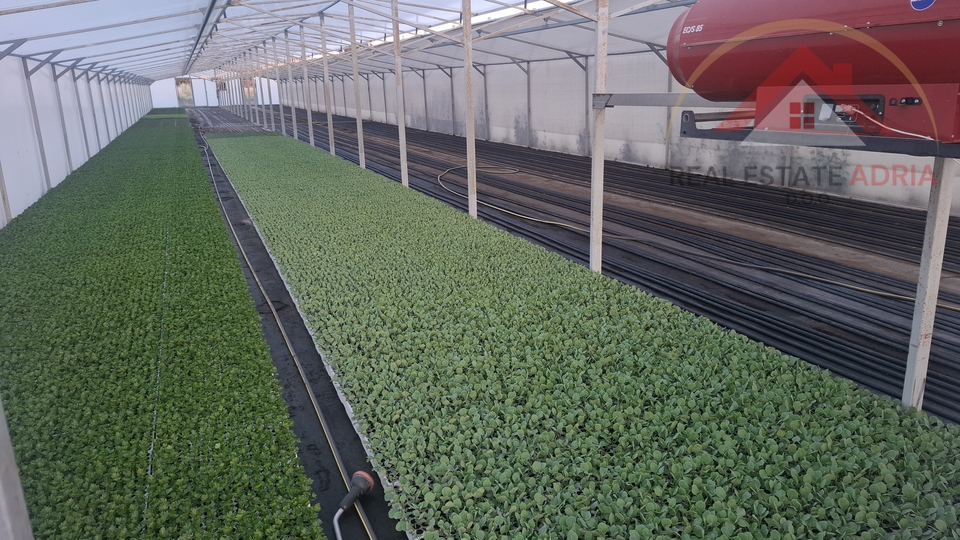 Prodaje se veliko zemljište u industrijskoj zoni Biograd na Moru