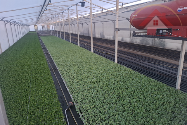 Prodaje se veliko zemljište u industrijskoj zoni Biograd na Moru