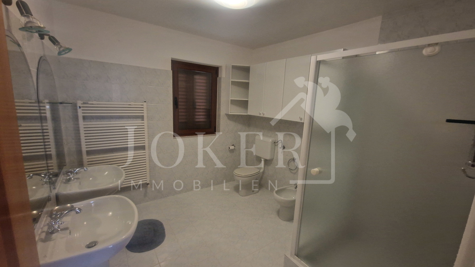 Villa&comma;Brtonigla&comma; sa velikom oku&cacute;nicom i &scaron;umom