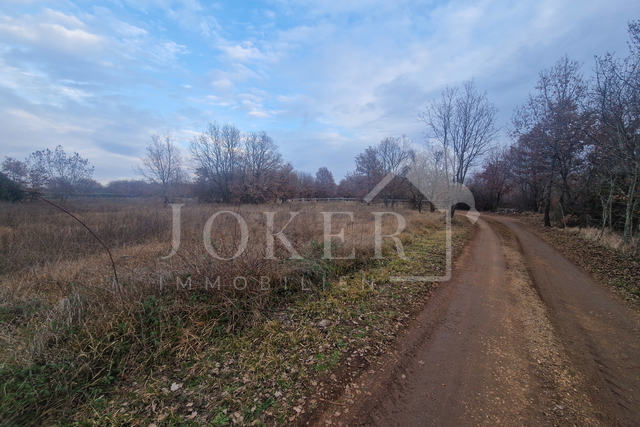 Poljoprivredno zemljište, Tar