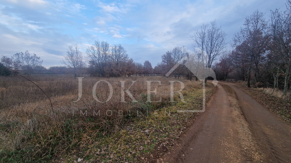 Poljoprivredno zemlji&scaron;te&comma; Tar