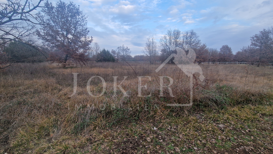 Poljoprivredno zemlji&scaron;te&comma; Tar