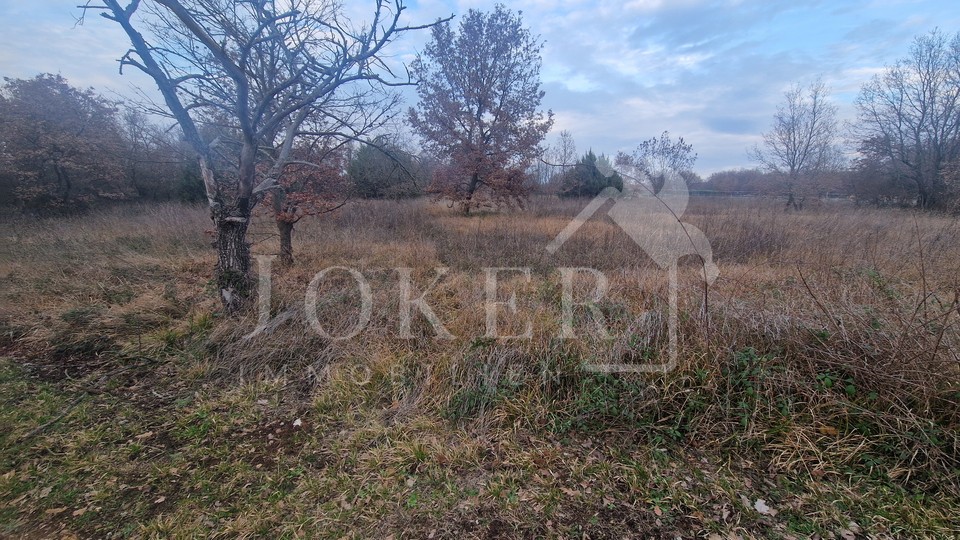 Poljoprivredno zemlji&scaron;te&comma; Tar