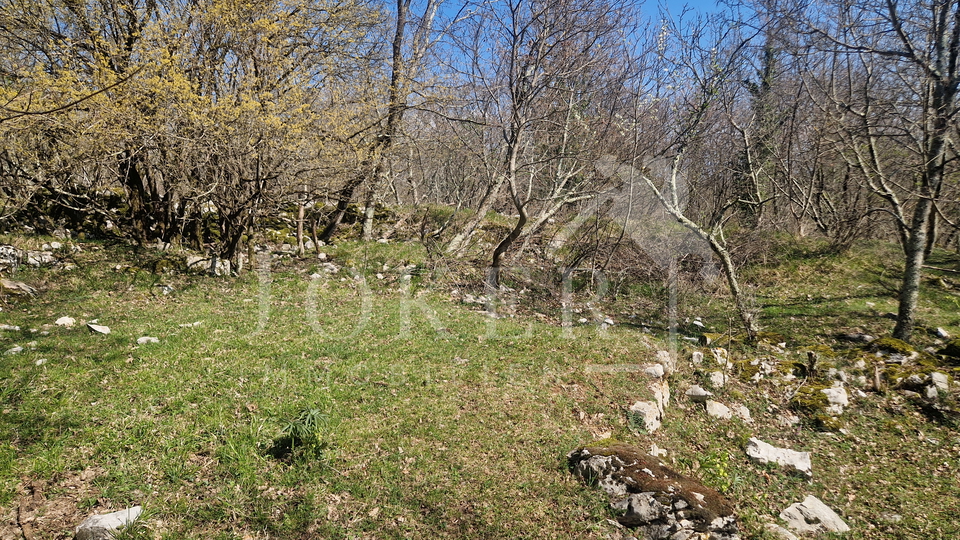 Land&comma; 2104 m2&comma; For Sale&comma; Mo&scaron;&cacute;eni&ccaron;ka Draga - Grabrova