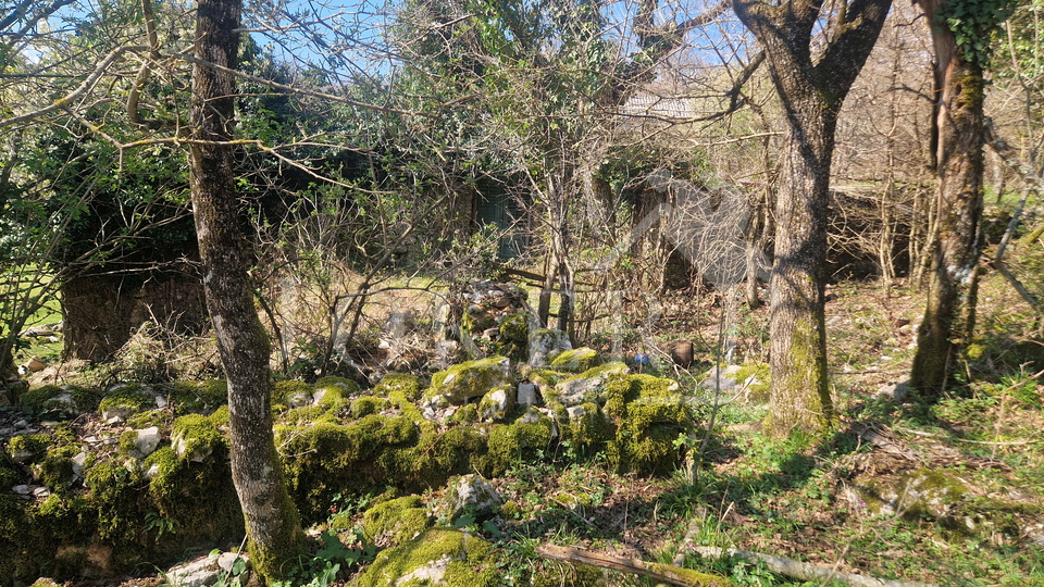 Land&comma; 2104 m2&comma; For Sale&comma; Mo&scaron;&cacute;eni&ccaron;ka Draga - Grabrova