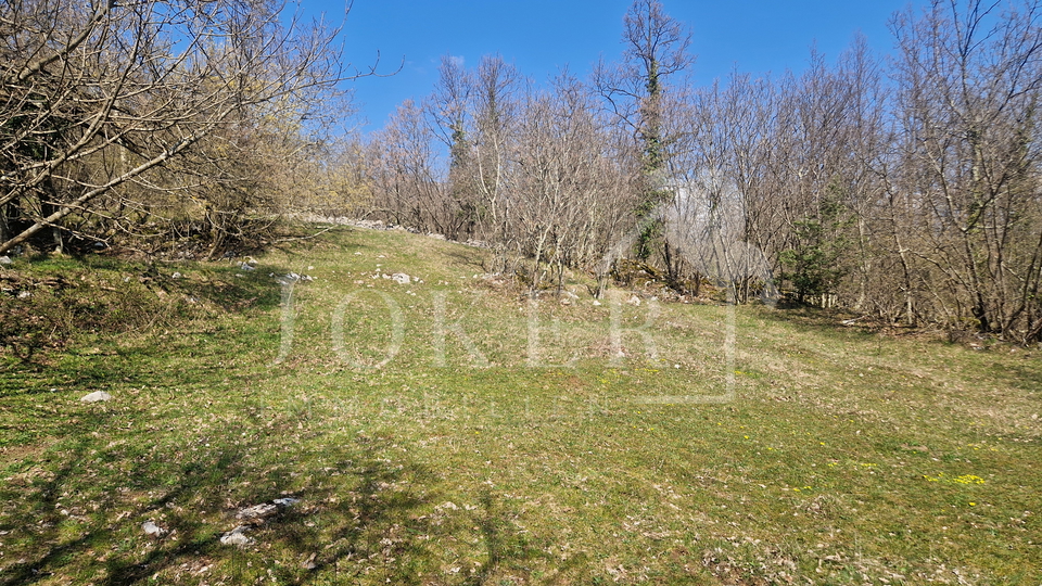 Land&comma; 2104 m2&comma; For Sale&comma; Mo&scaron;&cacute;eni&ccaron;ka Draga - Grabrova