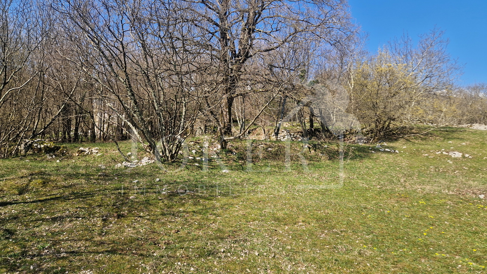 Land&comma; 2104 m2&comma; For Sale&comma; Mo&scaron;&cacute;eni&ccaron;ka Draga - Grabrova