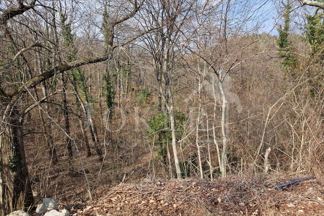 Grundstück, 6800 m2, Verkauf, Opatija - Veprinac