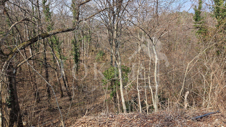 Grundstück, 6800 m2, Verkauf, Opatija - Veprinac