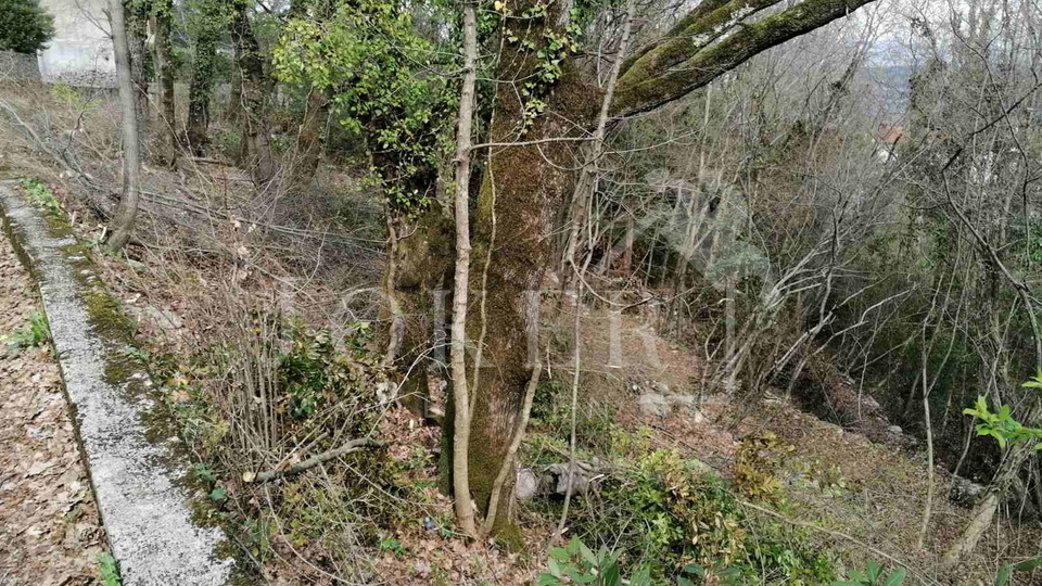Grundstück, 1230 m2, Verkauf, Opatija