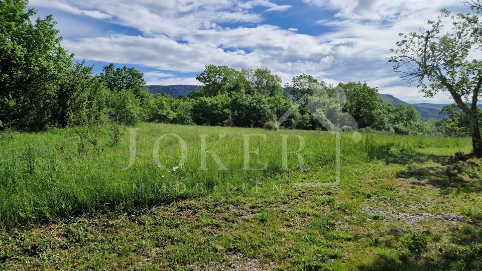 Zemljište, 2700 m2, Prodaja, Buzet