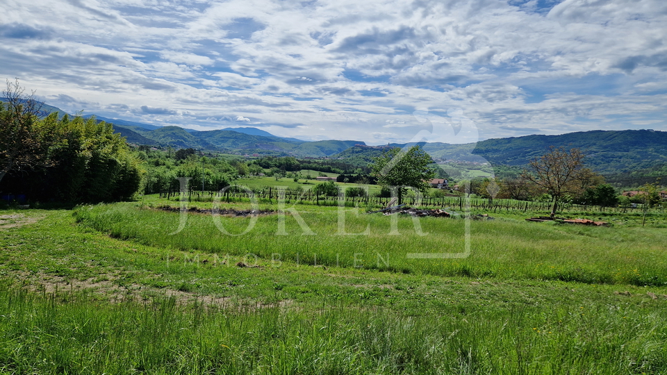 Zemljište, 2700 m2, Prodaja, Buzet