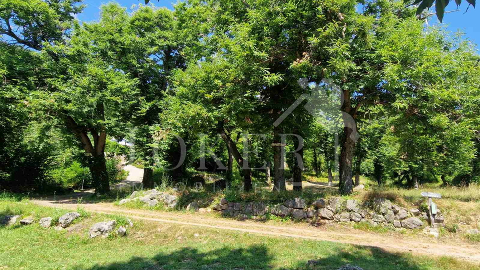 Građevinski teren  na mirnom i tihom mjestu