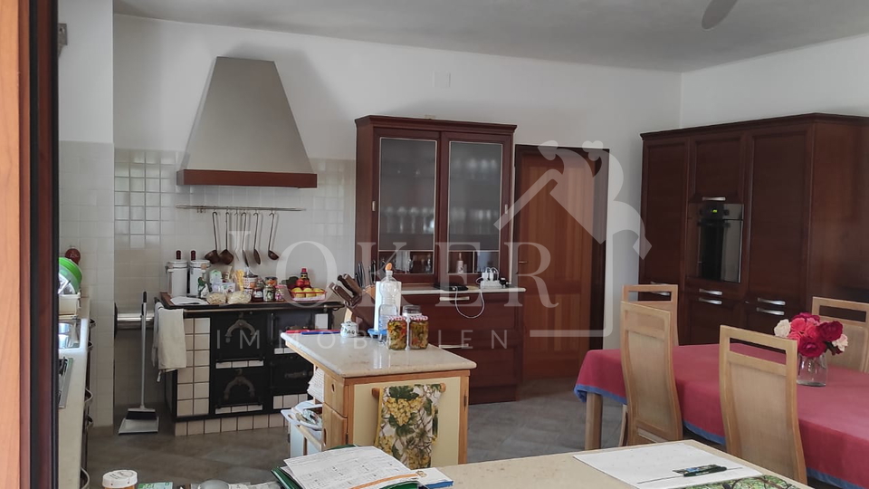 Villa&comma;Brtonigla&comma; sa velikom oku&cacute;nicom i &scaron;umom