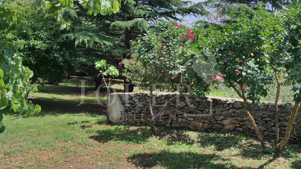 Villa&comma;Brtonigla&comma; sa velikom oku&cacute;nicom i &scaron;umom