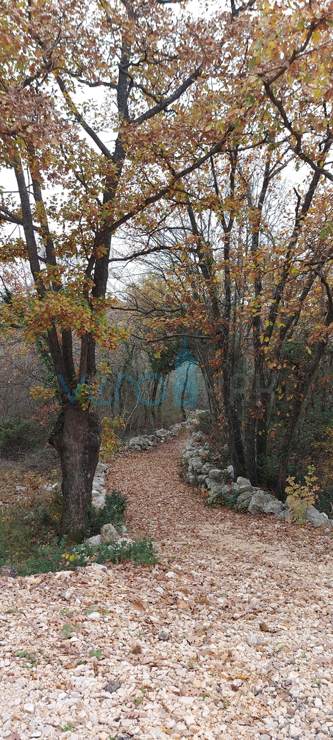 Šilo, island of Krk, apartment 44 m2, sea view, swimming pool, for sale