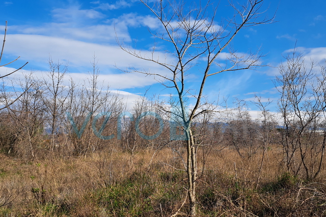 Land, 2500 m2, For Sale, Omišalj