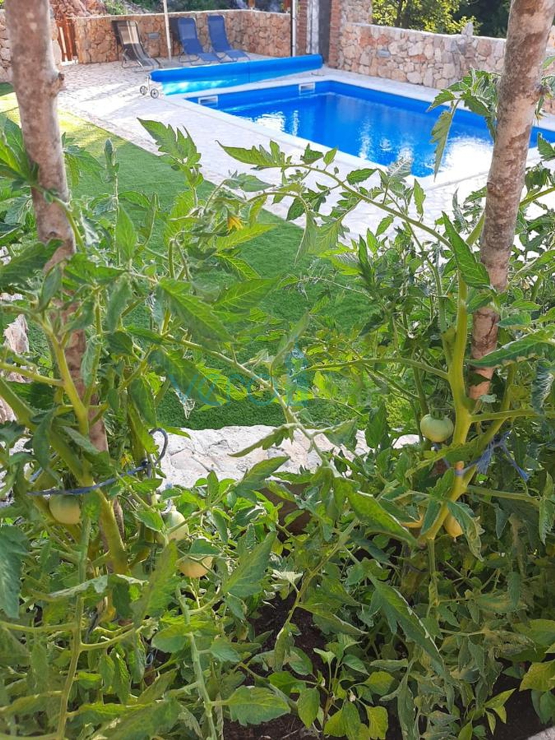 Otok Krk, Dobrinj, okolica, Samostojeća kuća sa bazenom i velikom okućnicom, prodaja