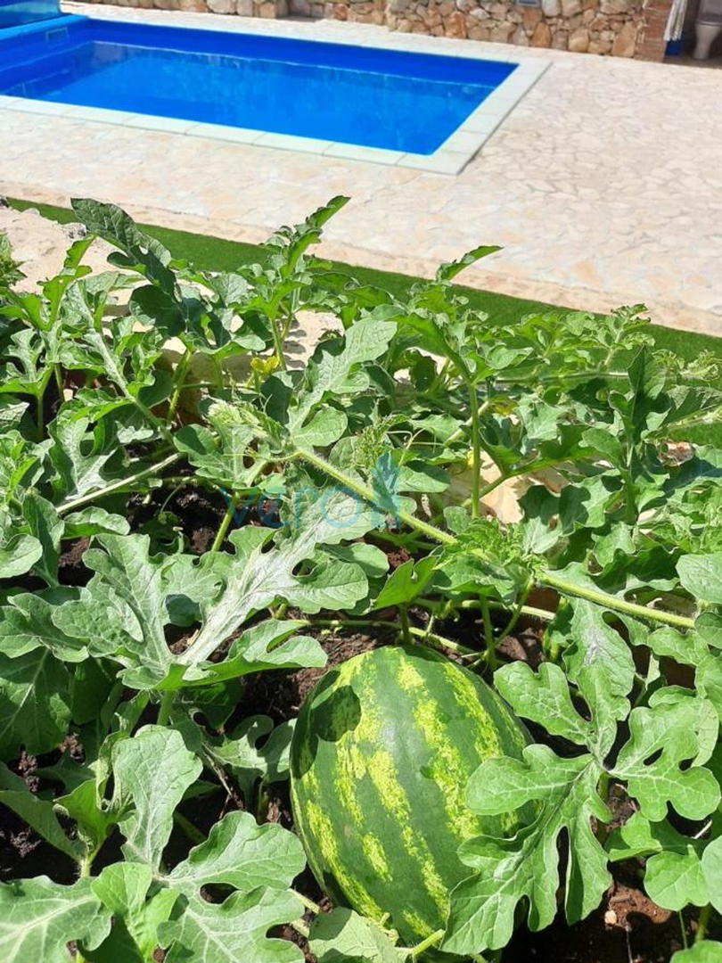 Otok Krk, Dobrinj, okolica, Samostojeća kuća sa bazenom i velikom okućnicom, prodaja