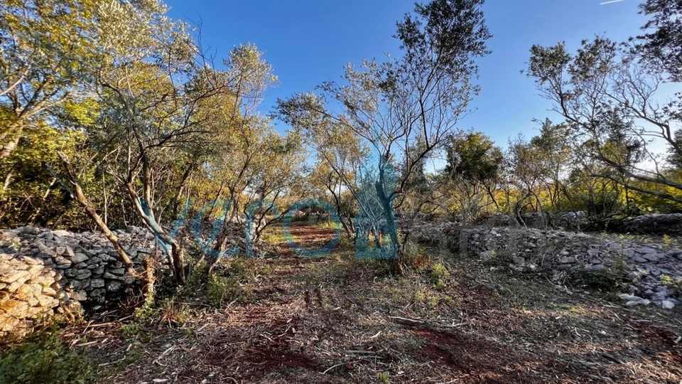 Vrbnik, okolica, Građevinsko zemljište 794m2 s predanom dokumentacijom za građevinsku dozvolu, prodaja