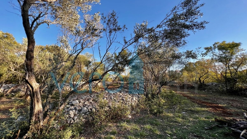 Vrbnik, okolica, Građevinsko zemljište 794m2 s predanom dokumentacijom za građevinsku dozvolu, prodaja